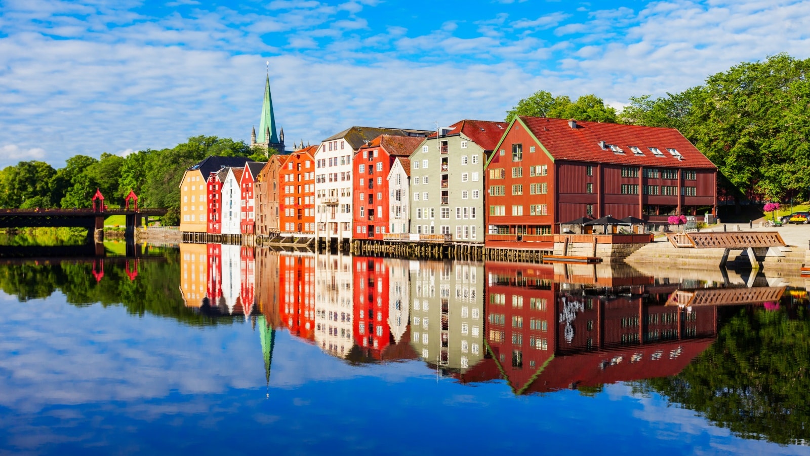 Bryggerekke i sommersol