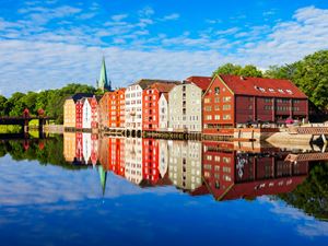 Bryggerekke i sommersol